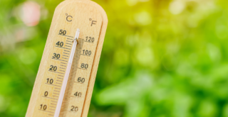 canicule, température, thermomètre