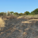 Un champ a brûlé suite à l'incendie du véhicule | TL - INF La Rochelle