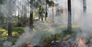 feu de forêt, incendie, pompiers, feu,