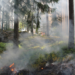 feu de forêt, incendie, pompiers, feu,